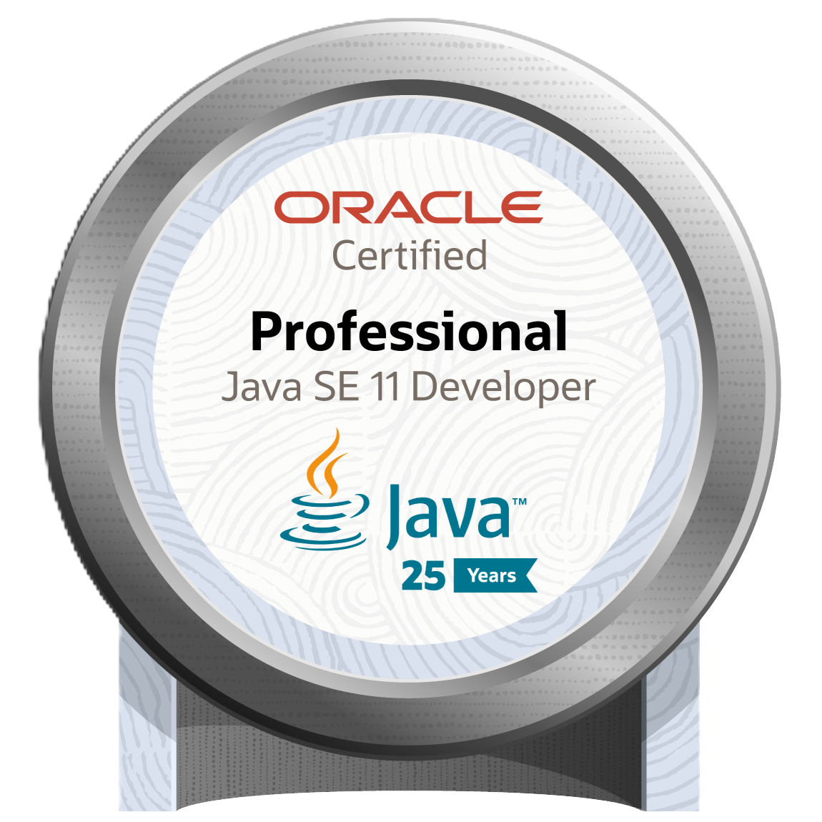 Oracle Certified Professional: Java SE 11 Developer